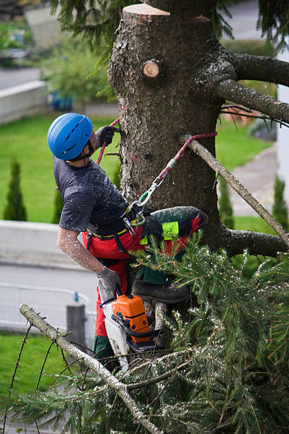 Best Utility Line Clearance  in Vale, OR